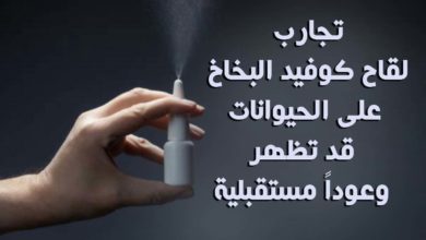 تجارب لقاح كوفيد البخاخ على الحيوانات