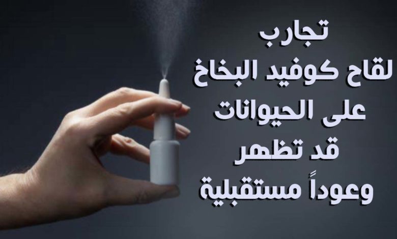 تجارب لقاح كوفيد البخاخ على الحيوانات