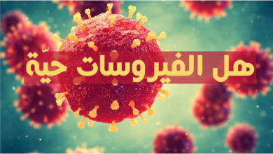 هل الفيروسات حيّة