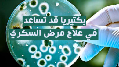 بكتيريا قد تساعد في علاج مرض السكري
