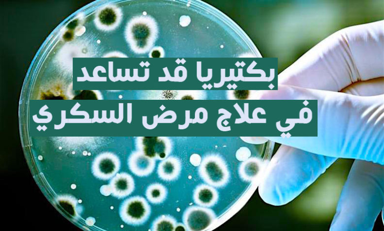 بكتيريا قد تساعد في علاج مرض السكري