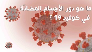 ما هو دور الأجسام المضادّة في كوفيد 19 ؟