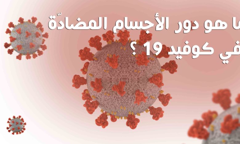 ما هو دور الأجسام المضادّة في كوفيد 19 ؟