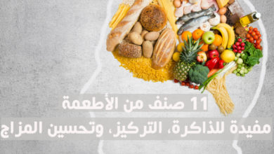 11 صنف من الأطعمة مفيدة للذاكرة، التركيز، وتحسين المزاج