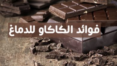 فوائد الكاكاو للدماغ