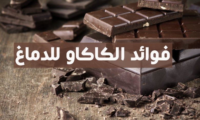 فوائد الكاكاو للدماغ