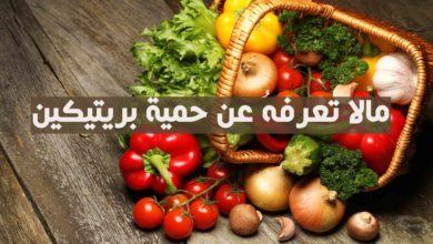 حمية بريتيكين