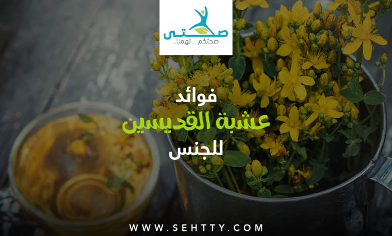فوائد عشبة القديسين للجنس
