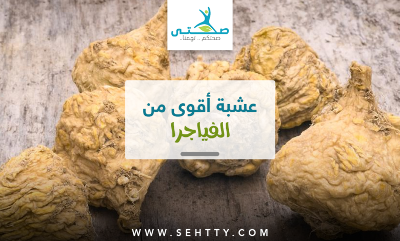 أفضل ٥ أنواع عشبة أقوى من الفياجرا