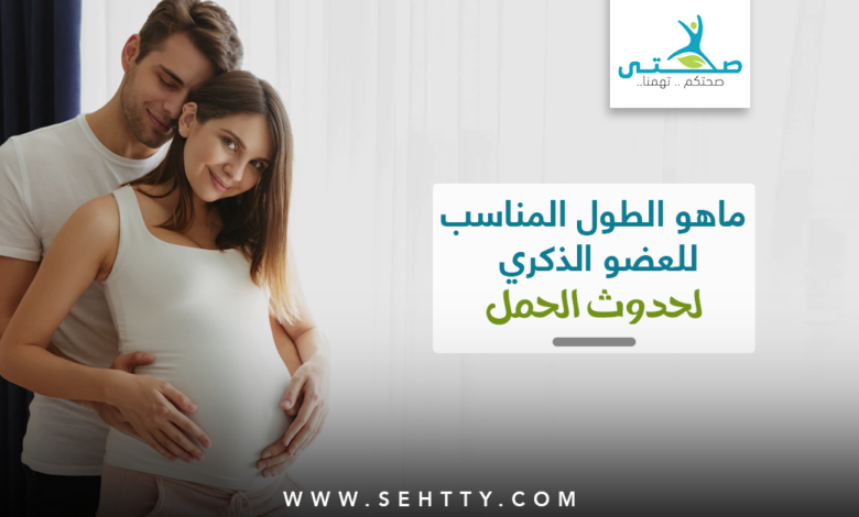 ماهو الطول المناسب للعضو الذكري لحدوث الحمل ؟
