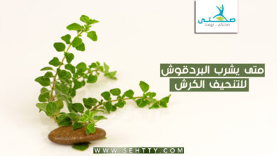 متى يشرب البردقوش للتنحيف الكرش