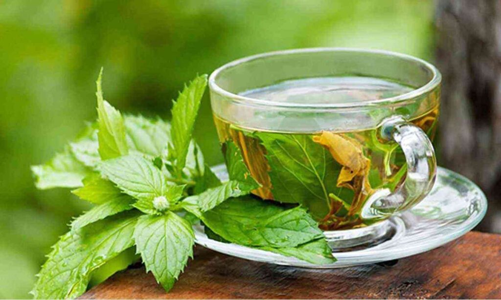 مشروبات لتخسيس الكرش للنساء بالشّاي الأخضر