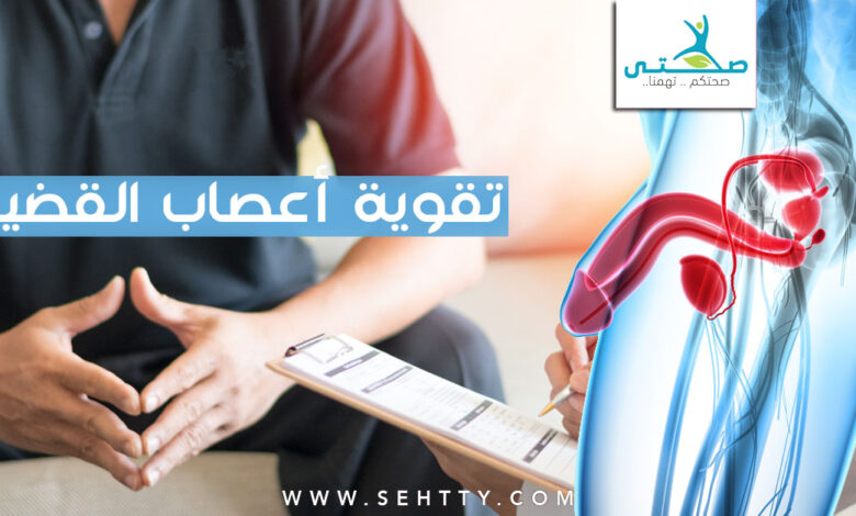 أفضل الوسائل لأجل تقوية أعصاب القضيب