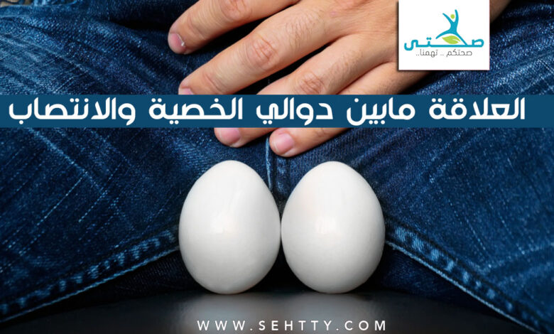 العلاقة مابين دوالي الخصية والانتصاب !