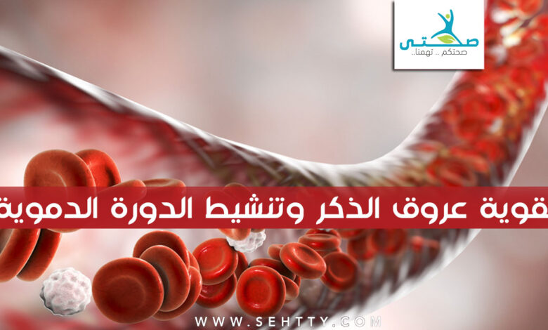 تقوية عروق الذكر وتنشيط الدورة الدموية