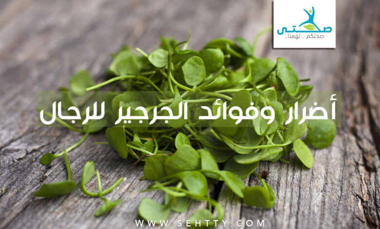 أضرار وفوائد الجرجير للرجال